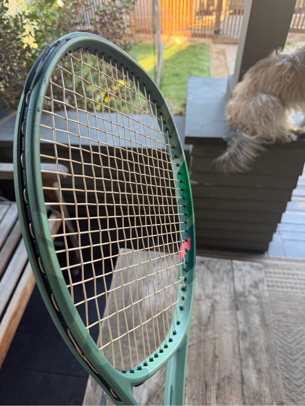 Yonex Percept 100D (4 3/8 Grip) great condition